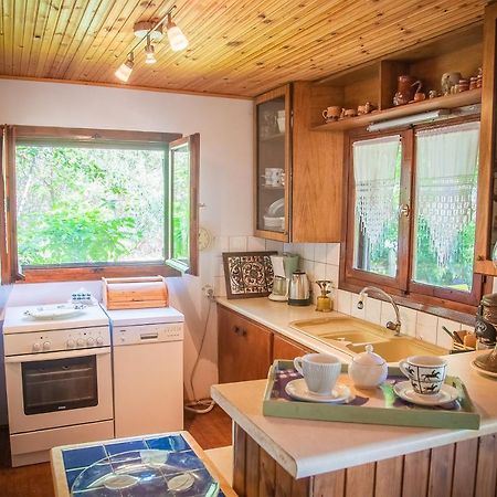 Willa Estate Irene Aleksandropolis Zewnętrze zdjęcie