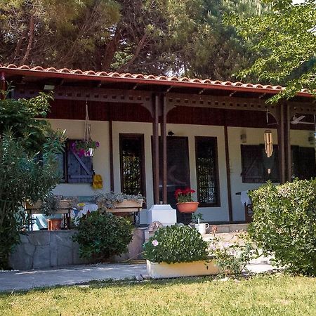 Willa Estate Irene Aleksandropolis Zewnętrze zdjęcie