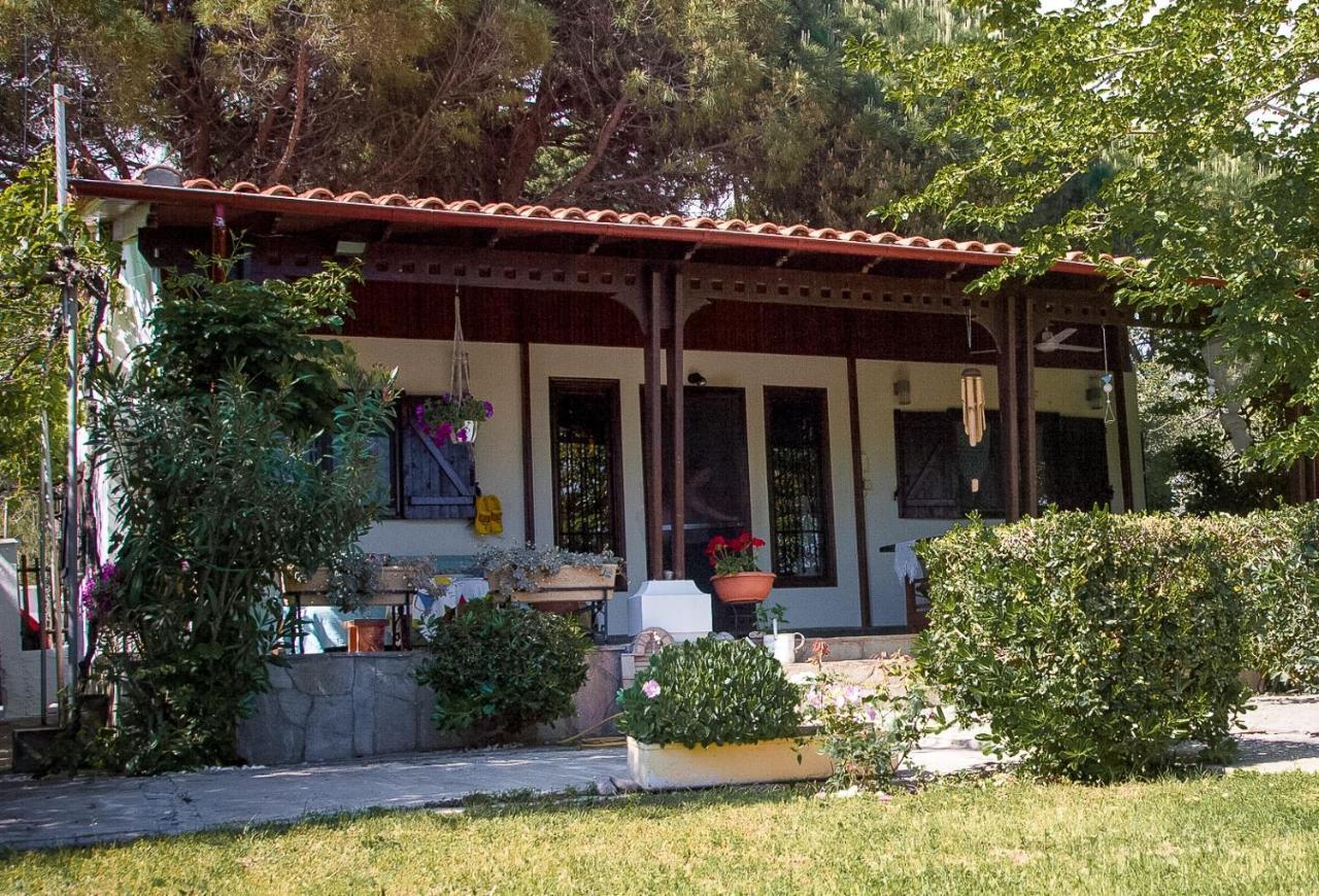 Willa Estate Irene Aleksandropolis Zewnętrze zdjęcie